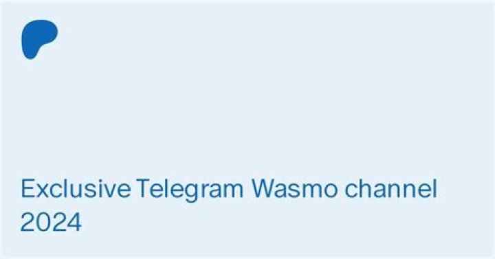 Finding What's Being Shared: Exploring the Wasmo Telegram Links of 2024