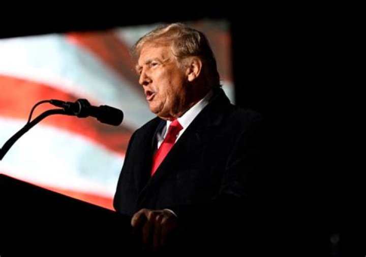 Is David Spade a Trump Supporter? Unpacking the Comedian's Political Stance