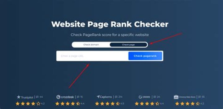 Unlocking The Power Of SEO Page Rank Checker For Your Website